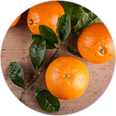 Piperinox Ingredients Bitter Orange Fruit Extract